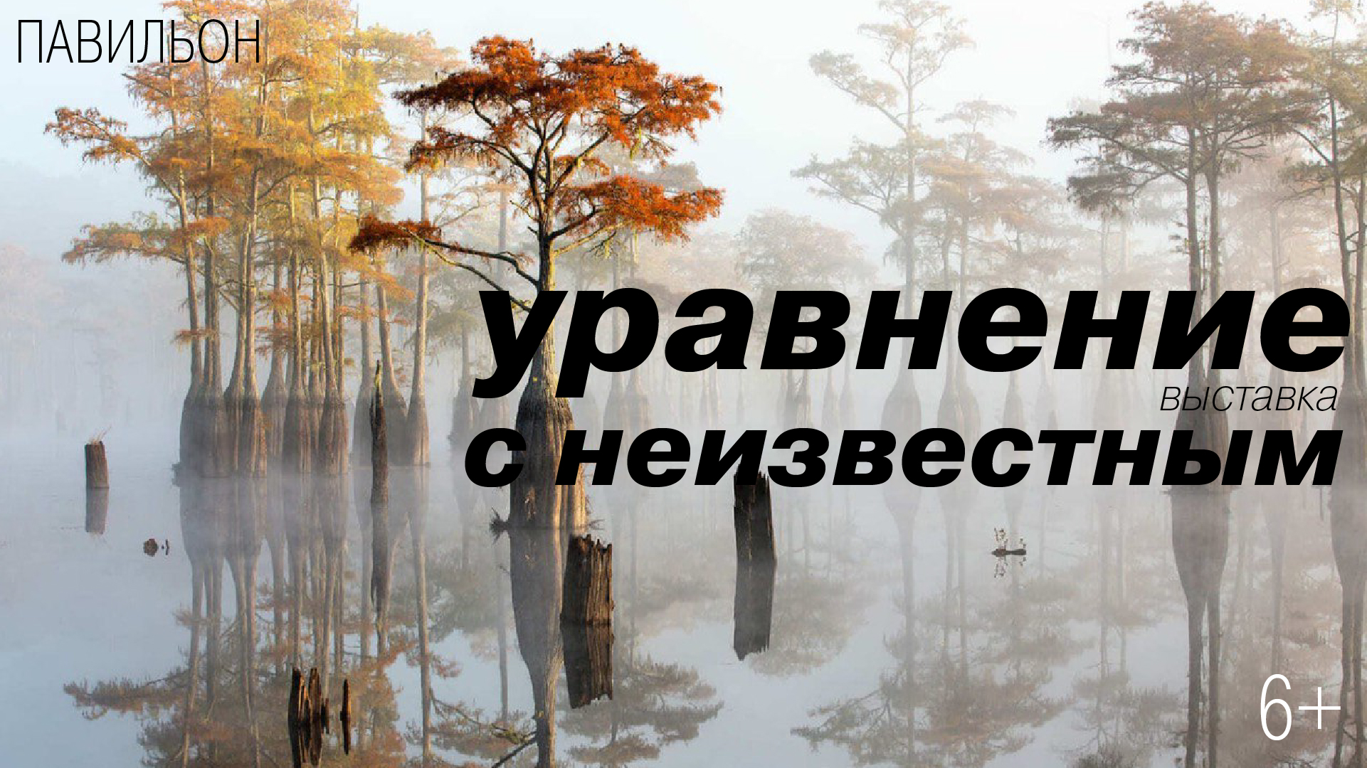 Выставка «Уравнение с неизвестным»